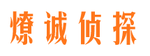 茄子河市婚外情调查